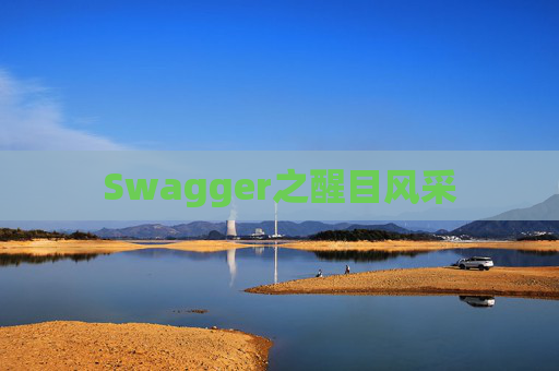 Swagger之醒目风采